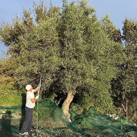 I Trulli Di Alessandro, Nel Cuore Della Valle D'itria Martina Franca